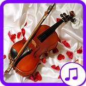 Variety songs and weddings 2017 4