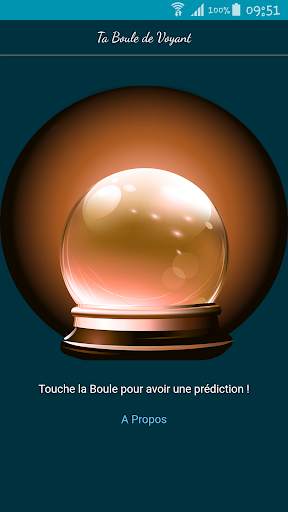 Ta Boule de Voyant screenshot 1