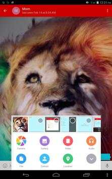 S messenger screenshot 4