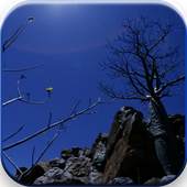 Night Sky Video Live Wallpaper 3.0
