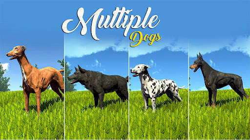 Wild Dog Pet Simulator Games screenshot 2
