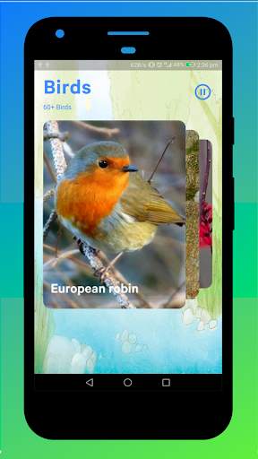 Bird Sounds screenshot 2