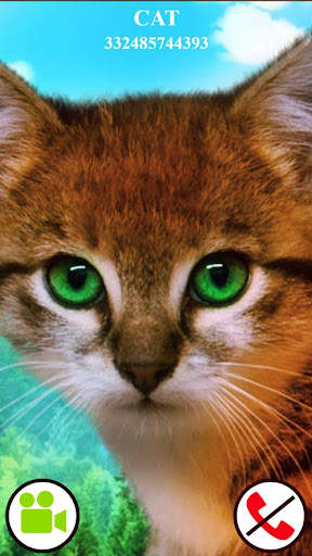 fake call video cat game screenshot 1