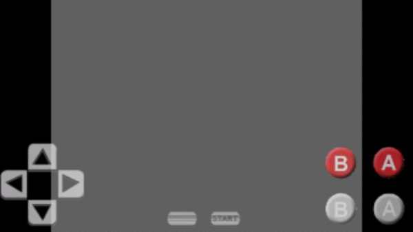 2P NES Emulator screenshot 11