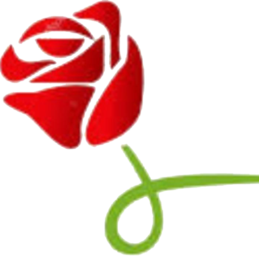Yasin Pro icon