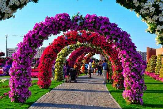 wallpaper Garden ❤️ GIF Image of Flower screenshot 4
