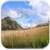 Relax Meditation & Chill Music on 9Apps
