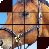 horse puzzles game icon