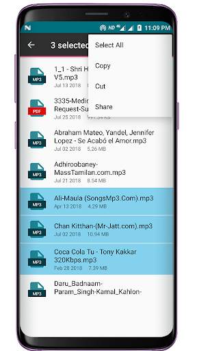 File Explorer Lite screenshot 4