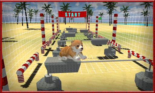 Cat Dog Pets Beach Stunts Sim screenshot 4