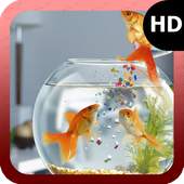 Goldfish Wallpaper 1.2