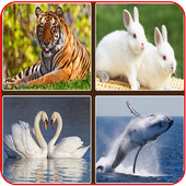 Animal Sound icon
