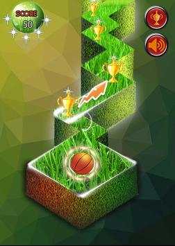 Zig Zag Basket Ball screenshot 1