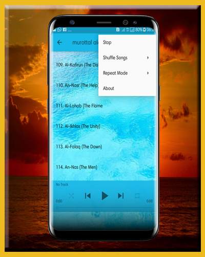 Saad Al Ghamidi Quran MP3 Offline screenshot 6