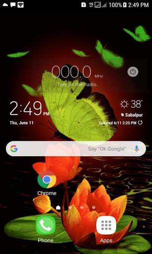 Green Butterflies Live Wallpaper screenshot 1