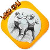 Wing Chun icon