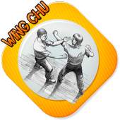 Wing Chun 1.0