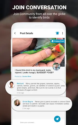 Birds Identifier App by Photo, Bird ID Camera 2020 screenshot 18