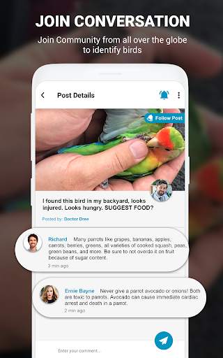 Birds Identifier App by Photo, Bird ID Camera 2020 screenshot 18