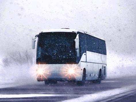 Offroad BUS Hill Driving 2017 screenshot 3