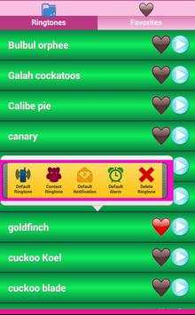 Bird Sounds Ringtones screenshot 3