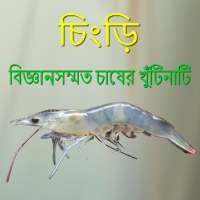 Chingri - চিংড়ি  - বিজ্ঞান সম্মত  চাষের খুঁটিনাটি icon