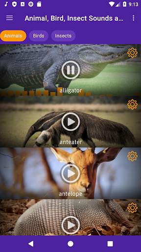 Animal, Bird, Insect Sounds and Ringtones screenshot 2