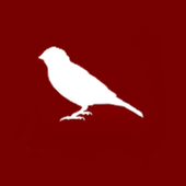 Browser for AdAway icon