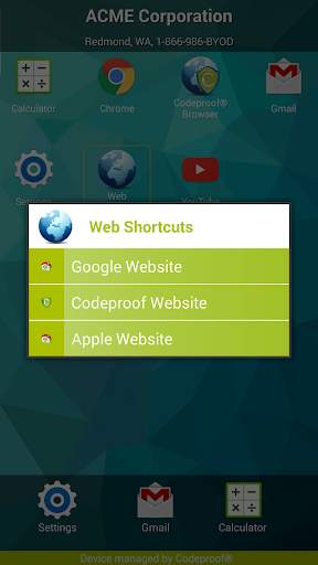 Codeproof App Manager screenshot 4