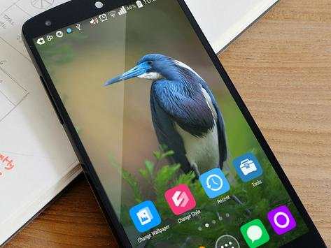 Birds Wallpaper HD Lockscreen screenshot 4