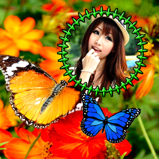 Butterfly Photo Frames icon