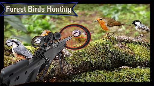 Forest 3D Birds Hunting - Sniper Shooting screenshot 3
