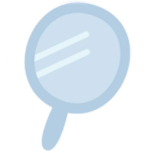 Mirror & Camera 1.0.3