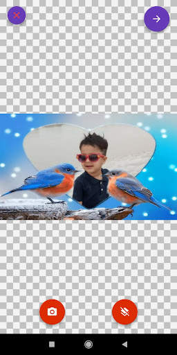 Bird Photo Frames Editor: DP, Quotes, Greeting screenshot 8