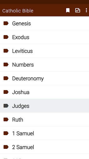 Catholic Bible app screenshot 3