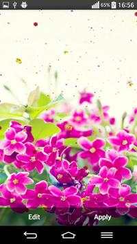 Flowers Live Wallpaper screenshot 4