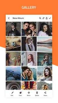Gallery Download screenshot 6
