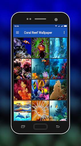 Coral Reef Wallpaper screenshot 8