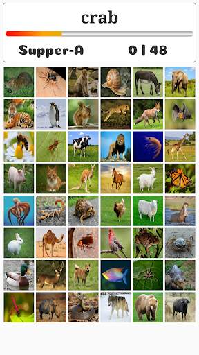 Animal Play скриншот 7