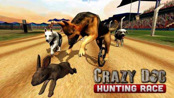 Crazy Dogs Racing Bunny Hunter : Greyhound Dog Sim screenshot 8