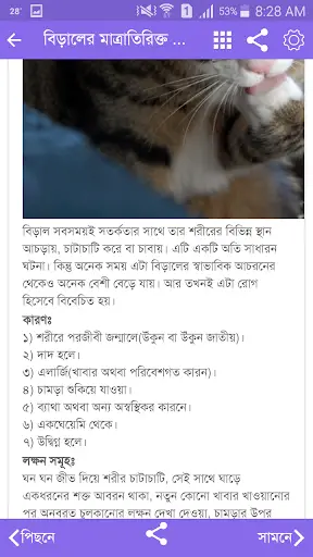 Amar Cat screenshot 3