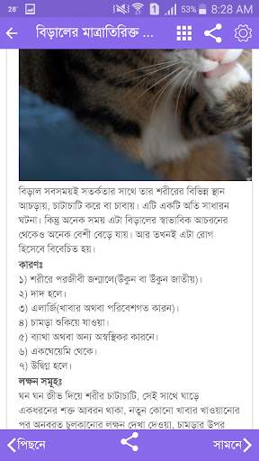 Amar Cat screenshot 3