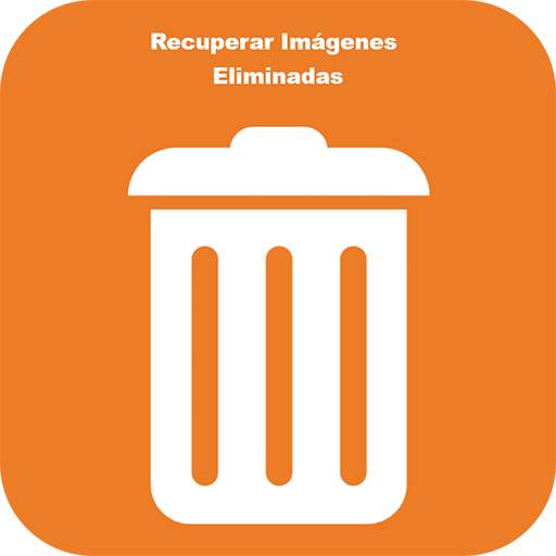 Como Recuperar Fotos Borradas 1.1