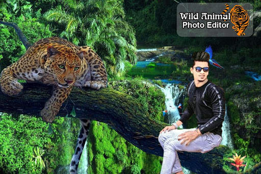 Wild Animal Photo Editor - Cut Paste Photo 6 تصوير الشاشة