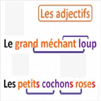 Grammaire Française скриншот 3