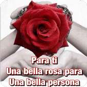 Rosas com frases bonitas 🌹 icon
