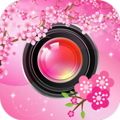 ikon Camera Cherry