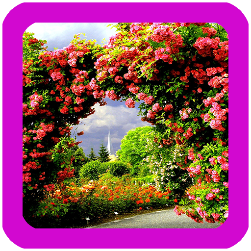 Rose Garden Wallpaper icon