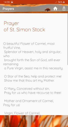 Our Lady of Mount Carmel screenshot 4