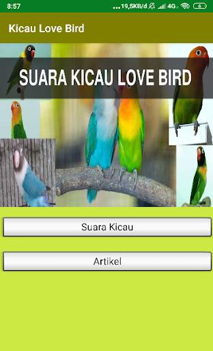 Suara Kicau Love Bird Juara Offline screenshot 1